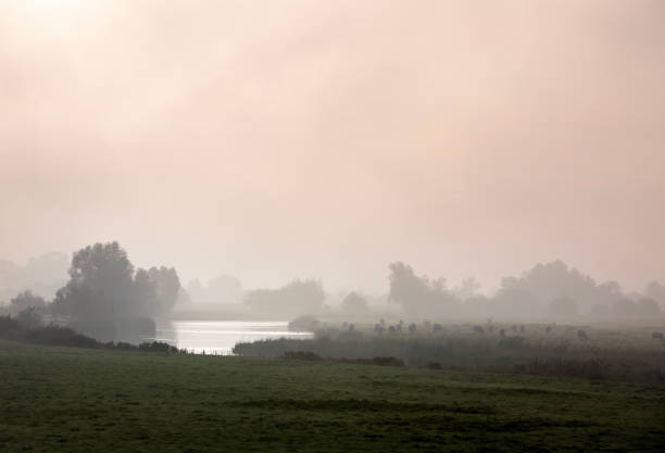 therapeut gezocht Noord Holland | angst, hechtingsproblemen, stress. Alkmaar online